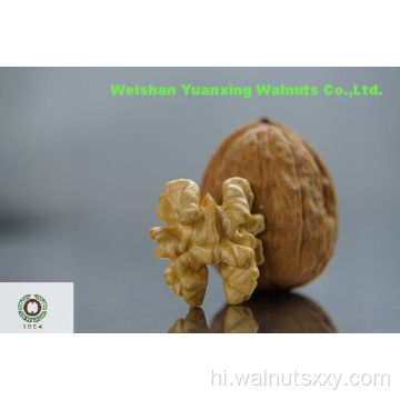 चीनी अखरोट की गुठली लाइट क्वार्टर हैंड शेल्ड (LQ)